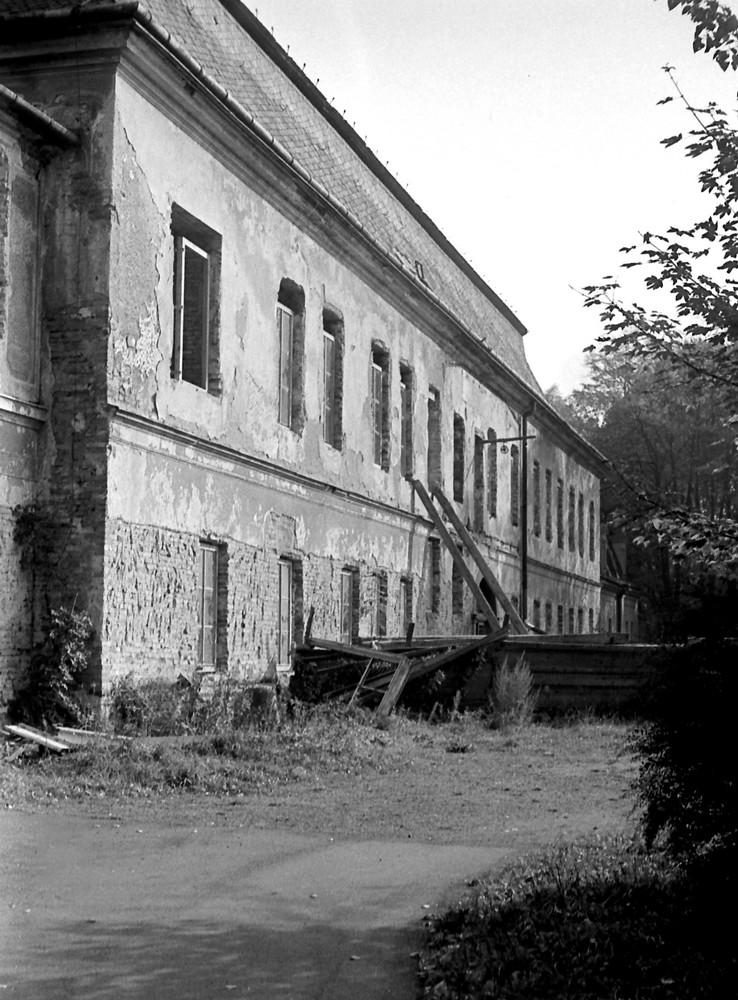 muzeum z parku.jpg