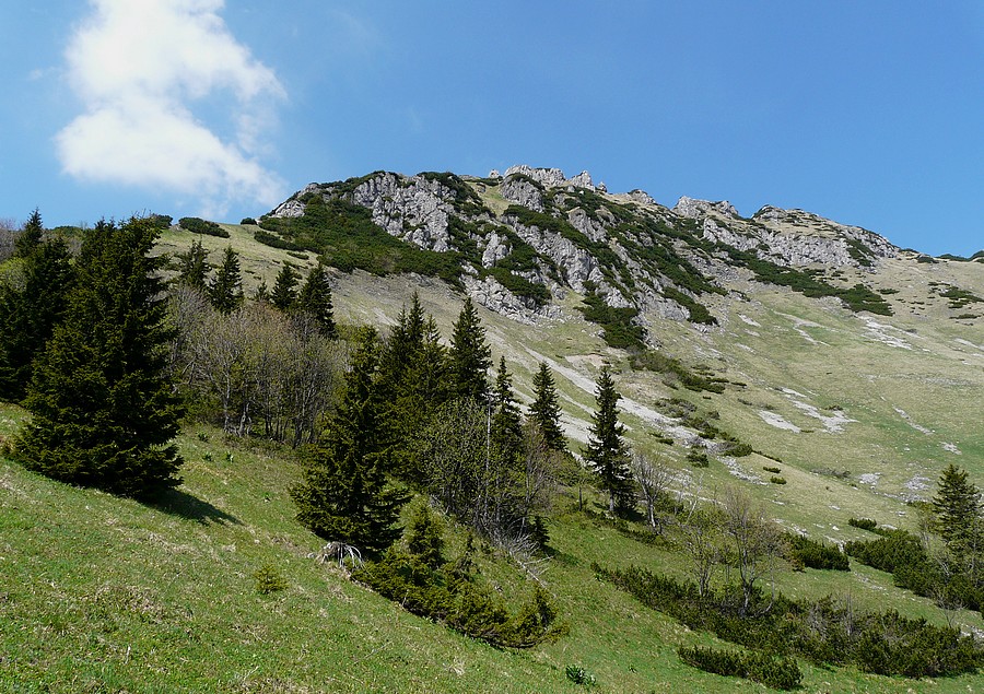 P1430081