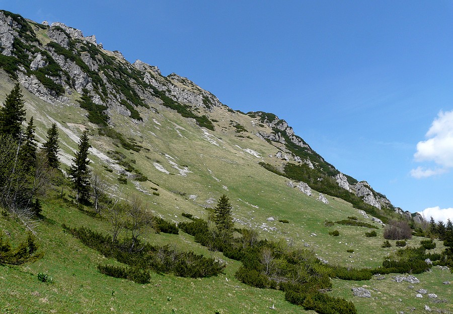 P1430082