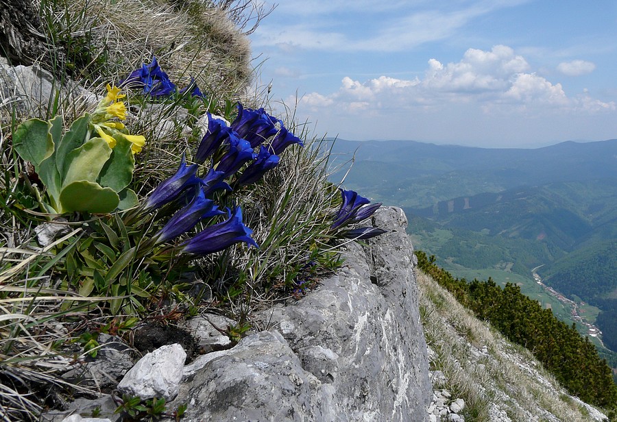 P1430100