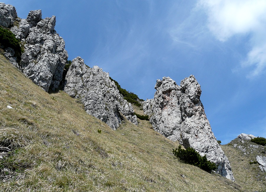 P1430107