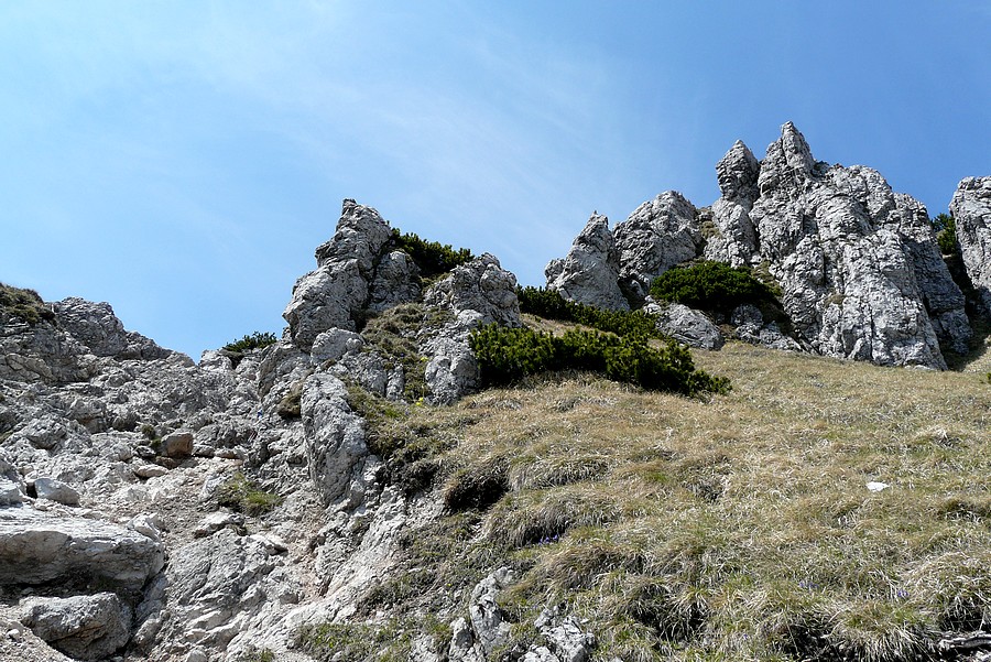 P1430108