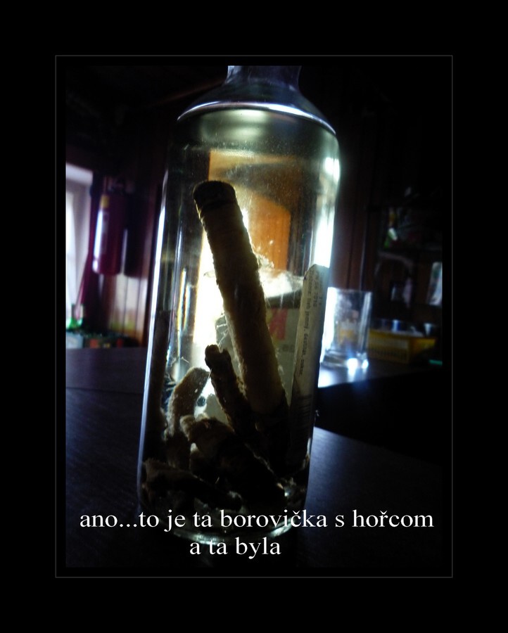 P1040886