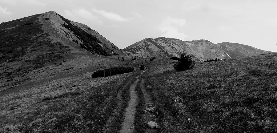 P1430208