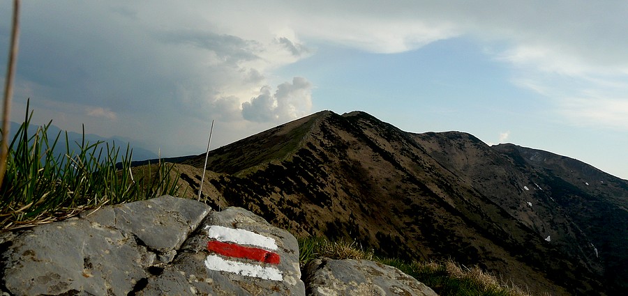 P1430234