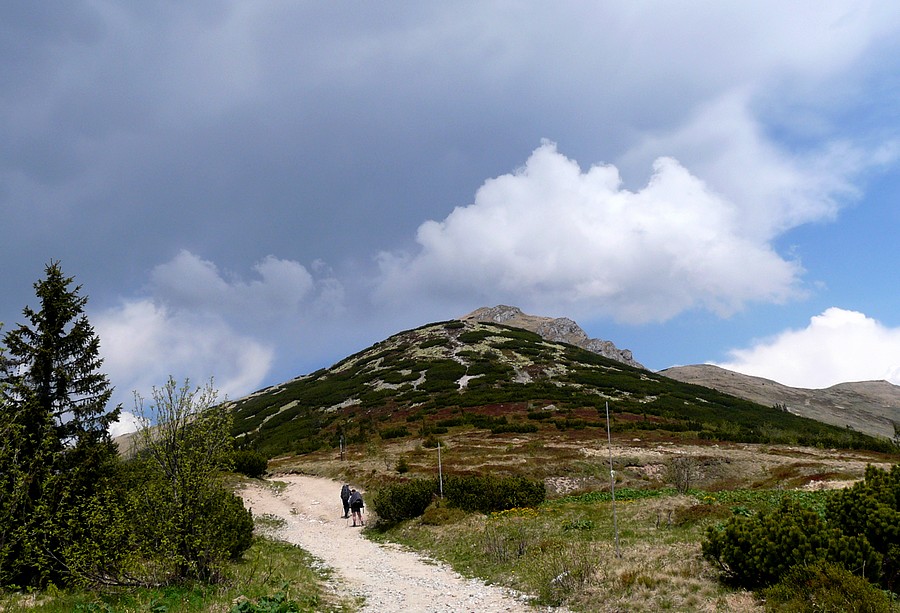 P1430366