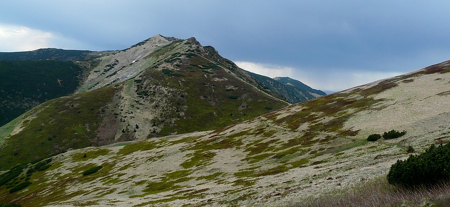 P1430446