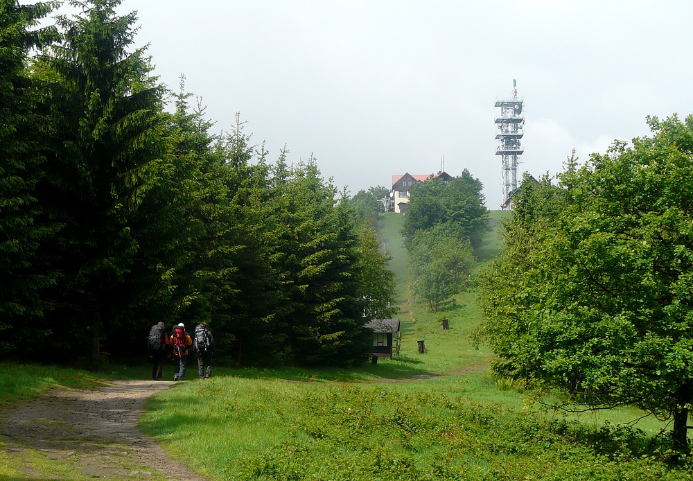 Javorový vrch