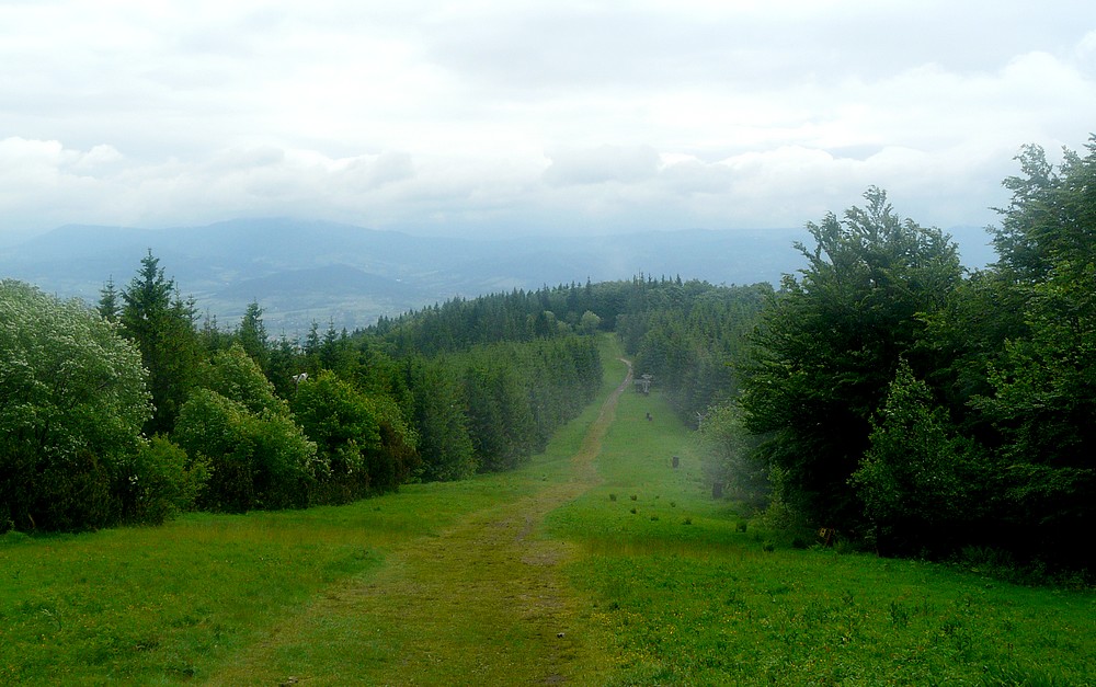 sjezdovka... na Javorovém