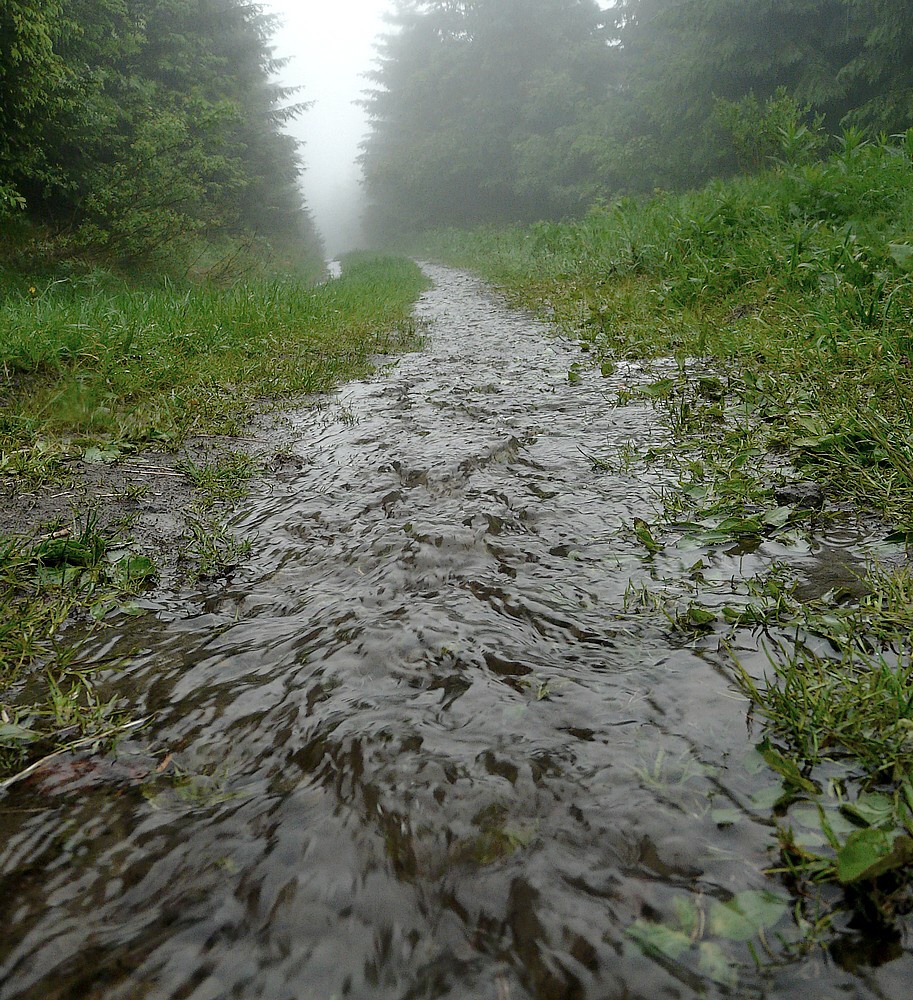 goratexovou obuv měli všichni