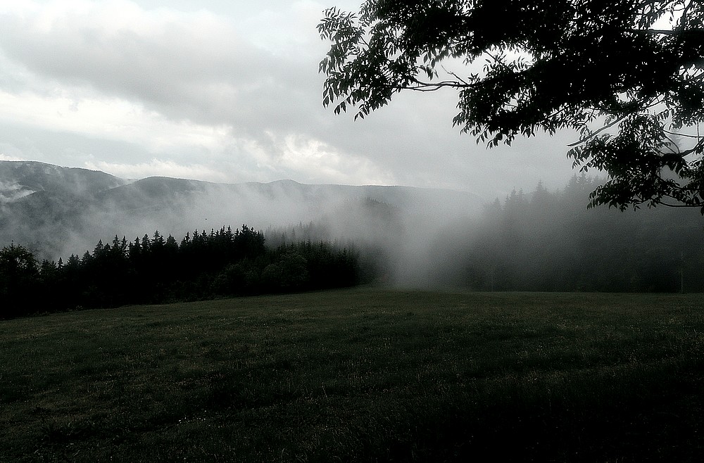 dobil jsem baterku,tak furt fotím